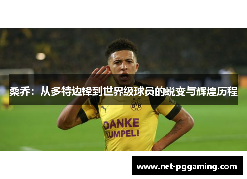 桑乔:从多特边锋到世界级球员的蜕变与辉煌历程 桑乔:从多特边锋到世界级球员的蜕变与辉煌历程